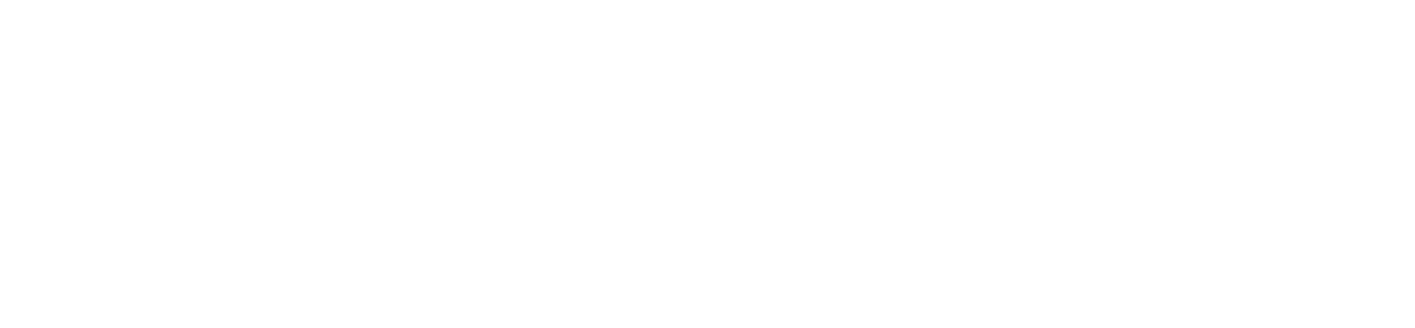 Wall Web Development Logo